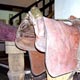 Monturas.(Museo)