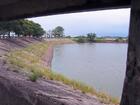 Mirando el lago 