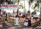 Exposici&oacute;n 1977